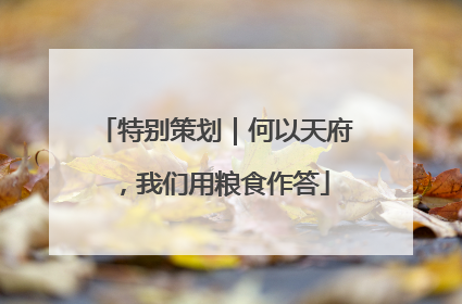 特别策划｜何以天府，我们用粮食作答