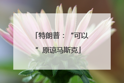 特朗普：“可以”原谅马斯克