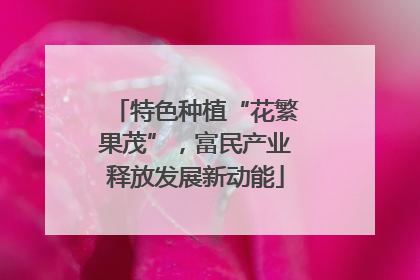 特色种植“花繁果茂”，富民产业释放发展新动能