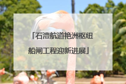 石澧航道艳洲枢纽船闸工程迎新进展