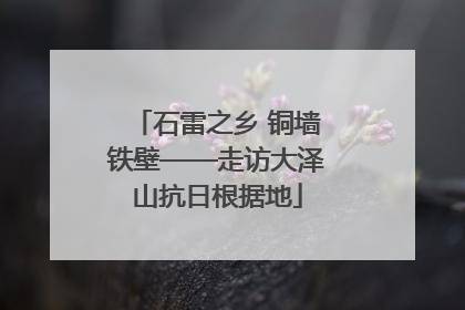 石雷之乡 铜墙铁壁——走访大泽山抗日根据地