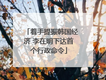着手提振韩国经济 李在明下达首个行政命令