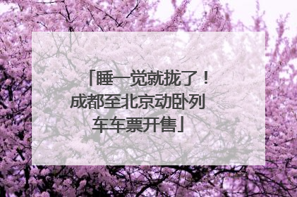睡一觉就拢了！成都至北京动卧列车车票开售