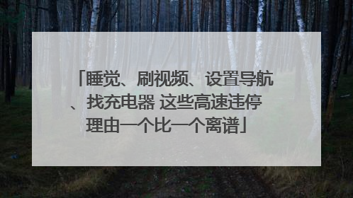 睡觉、刷视频、设置导航、找充电器 这些高速违停理由一个比一个离谱