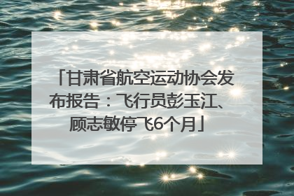 甘肃省航空运动协会发布报告：飞行员彭玉江、顾志敏停飞6个月
