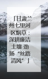 甘肃兰州七里河区烟草：深耕廉洁土壤 劲扬“丝路清风”
