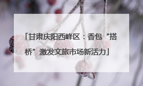 甘肃庆阳西峰区：香包“搭桥”激发文旅市场新活力