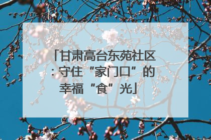 甘肃高台东苑社区：守住“家门口”的幸福“食”光