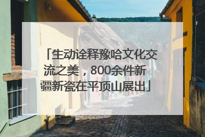 生动诠释豫哈文化交流之美，800余件新疆新瓷在平顶山展出