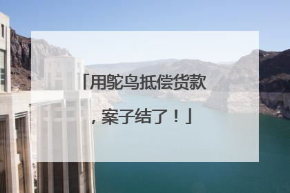 用鸵鸟抵偿货款，案子结了！