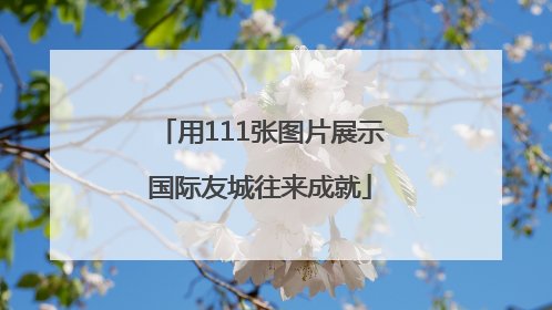 用111张图片展示国际友城往来成就