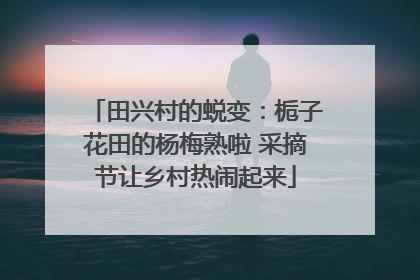 田兴村的蜕变：栀子花田的杨梅熟啦 采摘节让乡村热闹起来