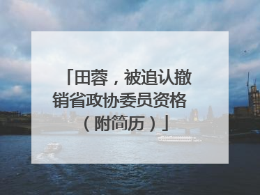 田蓉，被追认撤销省政协委员资格（附简历）