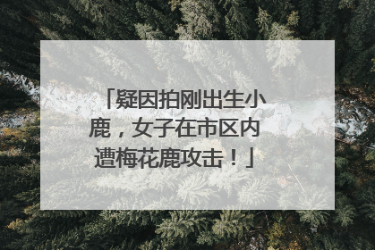 疑因拍刚出生小鹿，女子在市区内遭梅花鹿攻击！