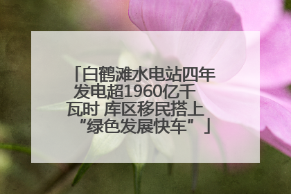 白鹤滩水电站四年发电超1960亿千瓦时 库区移民搭上“绿色发展快车”