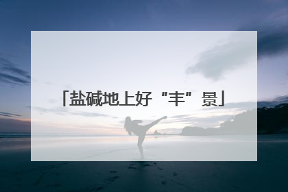 盐碱地上好“丰”景