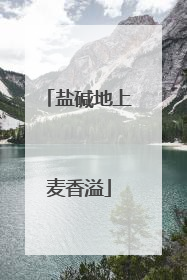 盐碱地上麦香溢