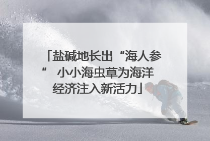 盐碱地长出“海人参” 小小海虫草为海洋经济注入新活力