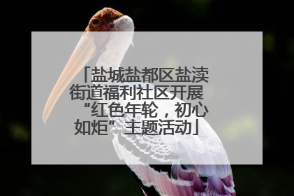 盐城盐都区盐渎街道福利社区开展“红色年轮，初心如炬”主题活动