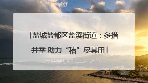 盐城盐都区盐渎街道：多措并举 助力“秸”尽其用