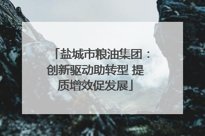 盐城市粮油集团：创新驱动助转型 提质增效促发展