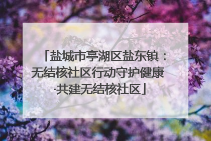 盐城市亭湖区盐东镇：无结核社区行动守护健康 ·共建无结核社区