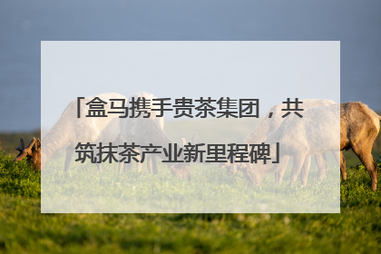 盒马携手贵茶集团，共筑抹茶产业新里程碑