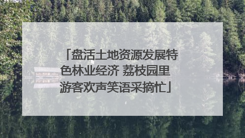 盘活土地资源发展特色林业经济 荔枝园里游客欢声笑语采摘忙