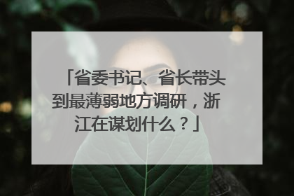 省委书记、省长带头到最薄弱地方调研，浙江在谋划什么？