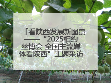 看陕西发展新图景——“2025相约丝博会 全国主流媒体看陕西”主题采访活动见闻