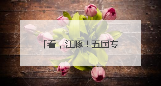 看，江豚！五国专家南京江边考察邂逅“微笑天使”