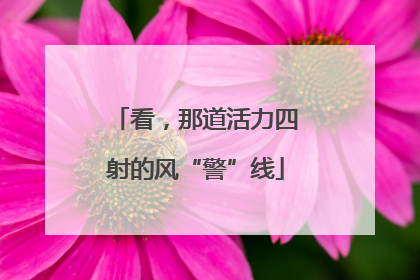 看，那道活力四射的风“警”线