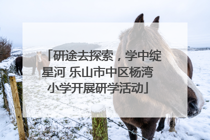 研途去探索，学中绽星河 乐山市中区杨湾小学开展研学活动