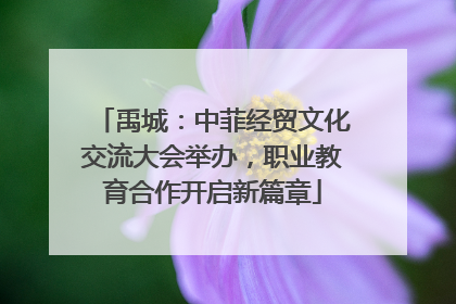 禹城：中菲经贸文化交流大会举办，职业教育合作开启新篇章