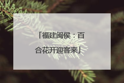 福建闽侯：百合花开迎客来