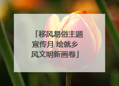 移风易俗主题宣传月 绘就乡风文明新画卷