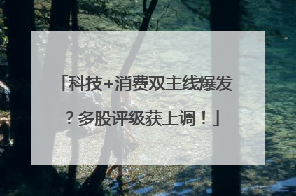科技+消费双主线爆发？多股评级获上调！
