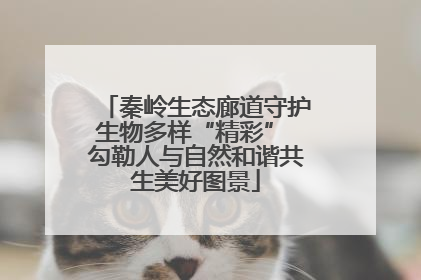 秦岭生态廊道守护生物多样“精彩” 勾勒人与自然和谐共生美好图景