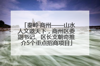 秦岭·商州——山水人文邀天下，商州区委副书记、区长支朝奇推介5个重点招商项目