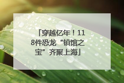 穿越亿年！118件恐龙“镇馆之宝”齐聚上海
