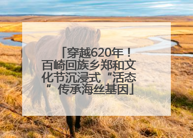 穿越620年！百崎回族乡郑和文化节沉浸式“活态”传承海丝基因