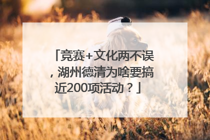 竞赛+文化两不误，湖州德清为啥要搞近200项活动？