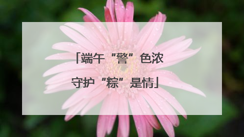 端午“警”色浓 守护“粽”是情