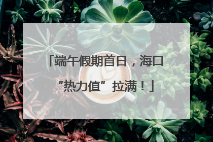端午假期首日，海口“热力值”拉满！