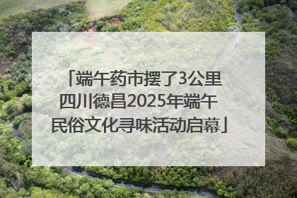 端午药市摆了3公里 四川德昌2025年端午民俗文化寻味活动启幕