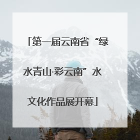 第一届云南省“绿水青山·彩云南”水文化作品展开幕