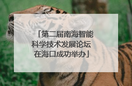 第二届南海智能科学技术发展论坛在海口成功举办