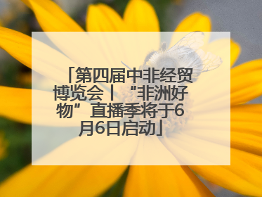 第四届中非经贸博览会丨“非洲好物”直播季将于6月6日启动