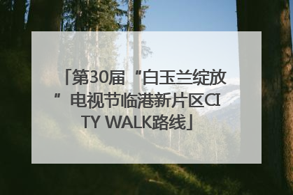 第30届“白玉兰绽放”电视节临港新片区CITY WALK路线