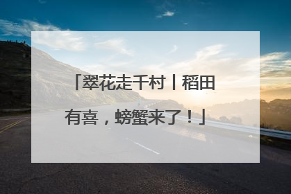 翠花走千村丨稻田有喜，螃蟹来了！